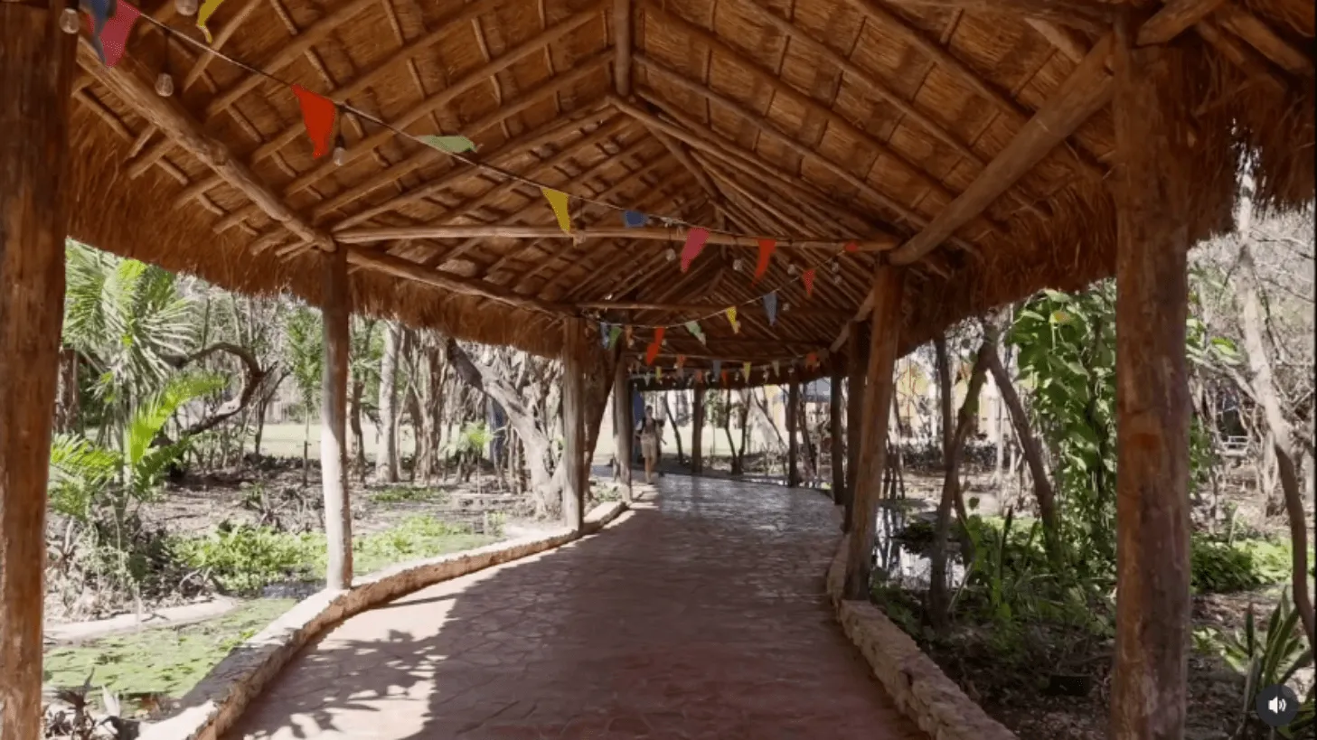 KOKAI Academy Gallery Photo 5