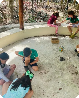 KOKAI Academy Gallery Photo 6