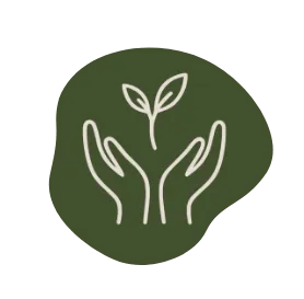 KOKAI Academy Shape 1