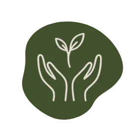 KOKAI Academy Shape 1