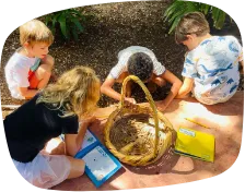 Hands-on experiences