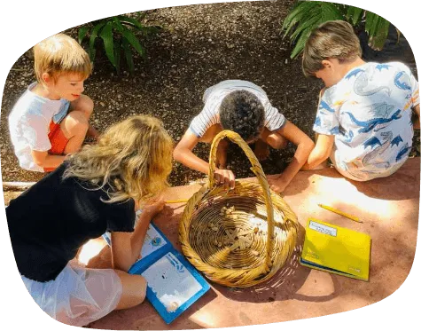 Hands-on experiences